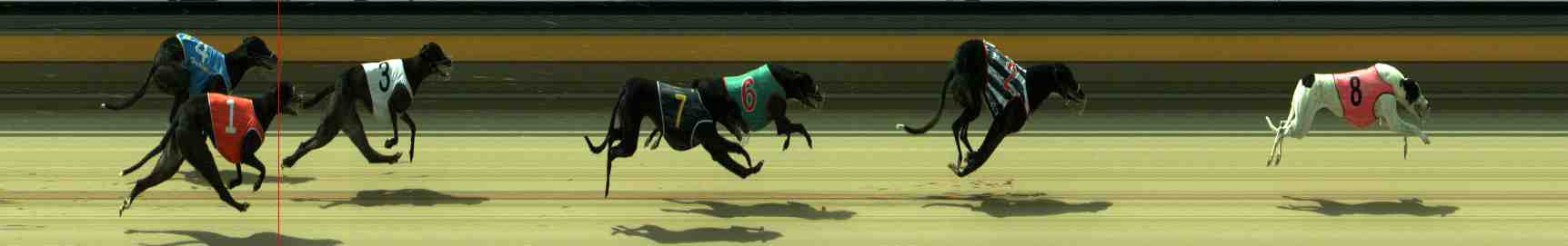 Race result finish photo